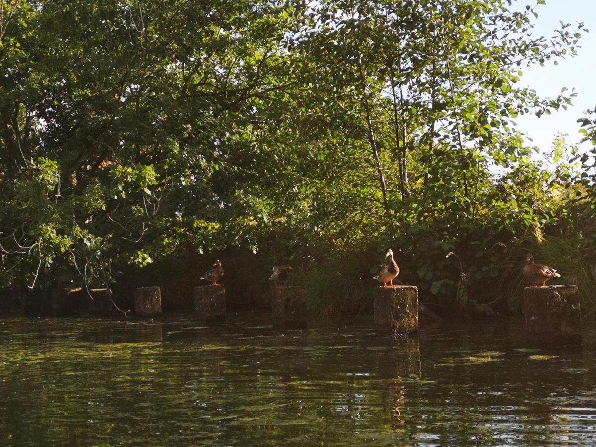 Spreewald Ferienwohnung Wollgast Lubben Bagian luar foto