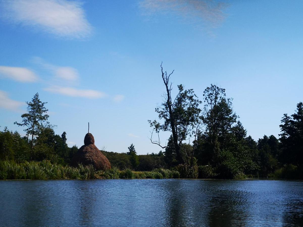 Spreewald Ferienwohnung Wollgast Lubben Bagian luar foto
