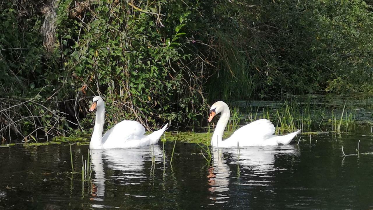 Spreewald Ferienwohnung Wollgast Lubben Bagian luar foto
